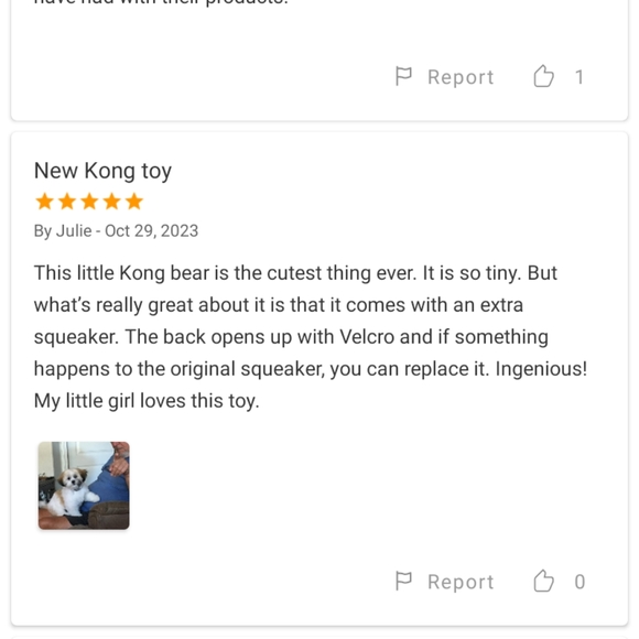 🆕TinyToy4TinyDogs - Picture 12 of 15